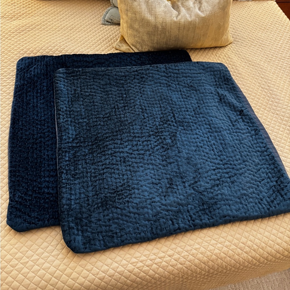 RH | Velvet Euro Shams (Set of 2)